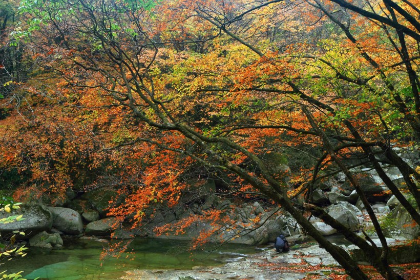 四川光雾山红叶风景图片(28张)