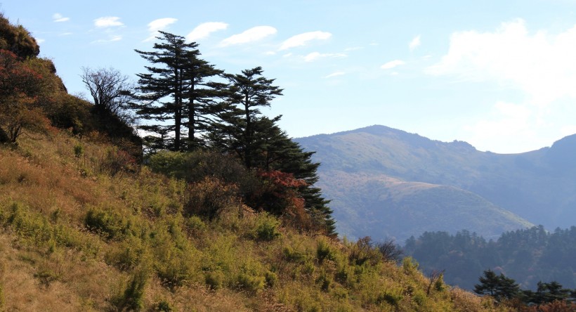 湖北神农架观景台风景图片(6张)