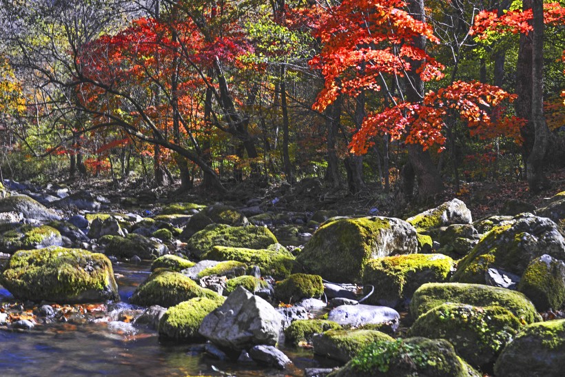 辽宁关门山红叶风景图片(11张)