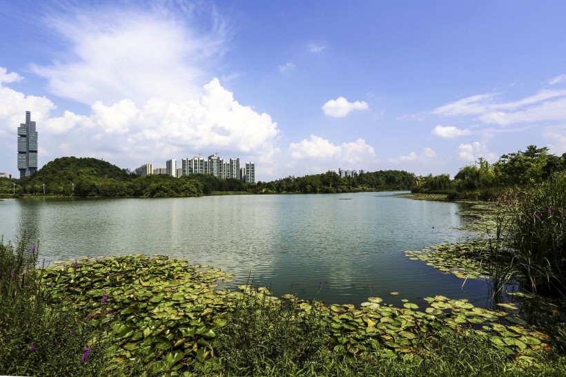 贵州贵阳观山湖公园风景图片(12张)