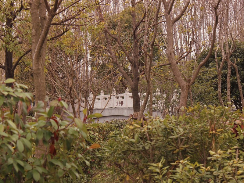顾村公园风景图片(14张)