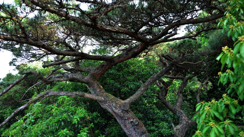 福建长汀鼓山风景图片(11张)