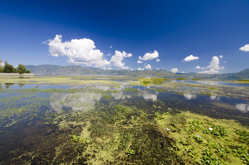 大理海舌生态公园风景图片(16张)