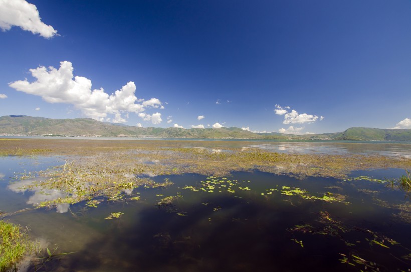 大理海舌生态公园风景图片(16张)