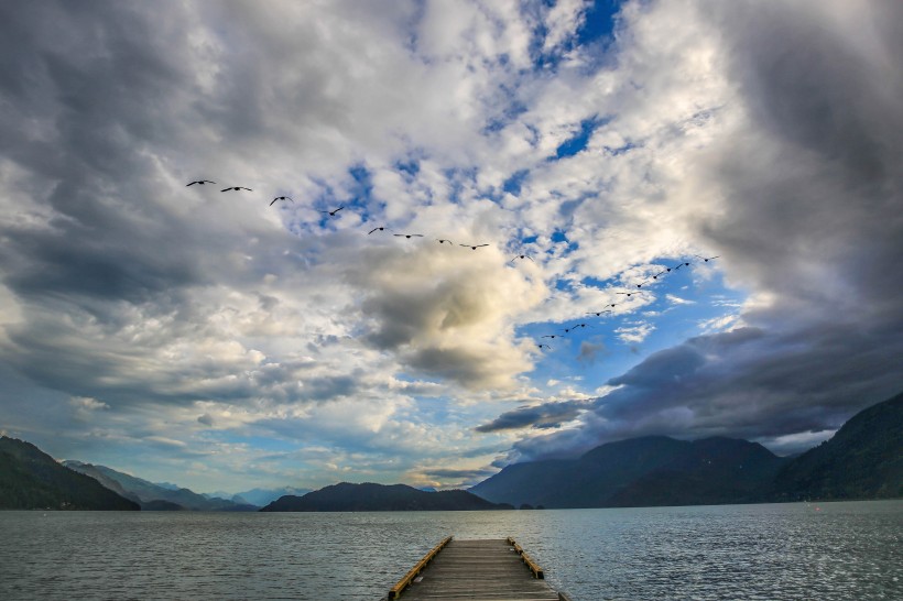 加拿大温哥华哈里森湖风景图片(12张)