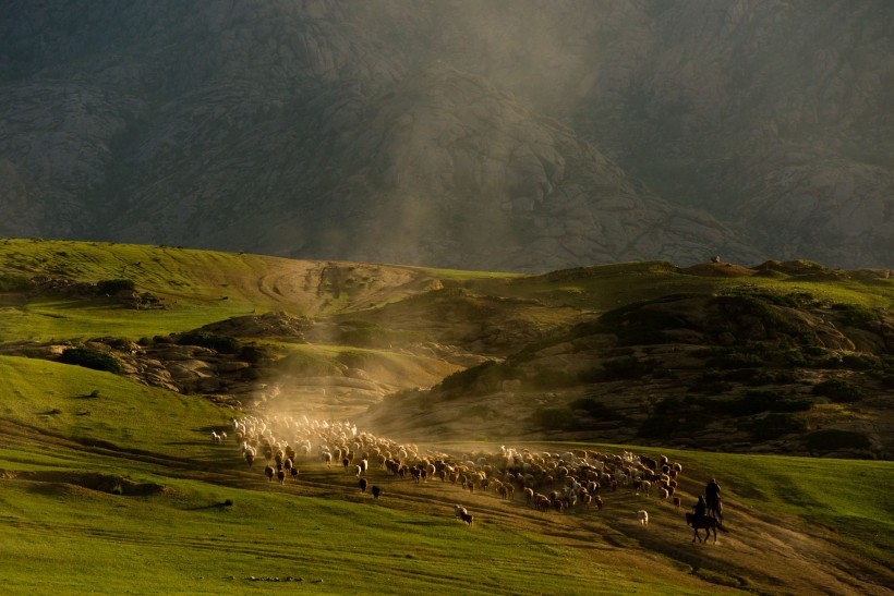 新疆阿勒泰哈萨克牧民夏季大迁徙图片(23张)
