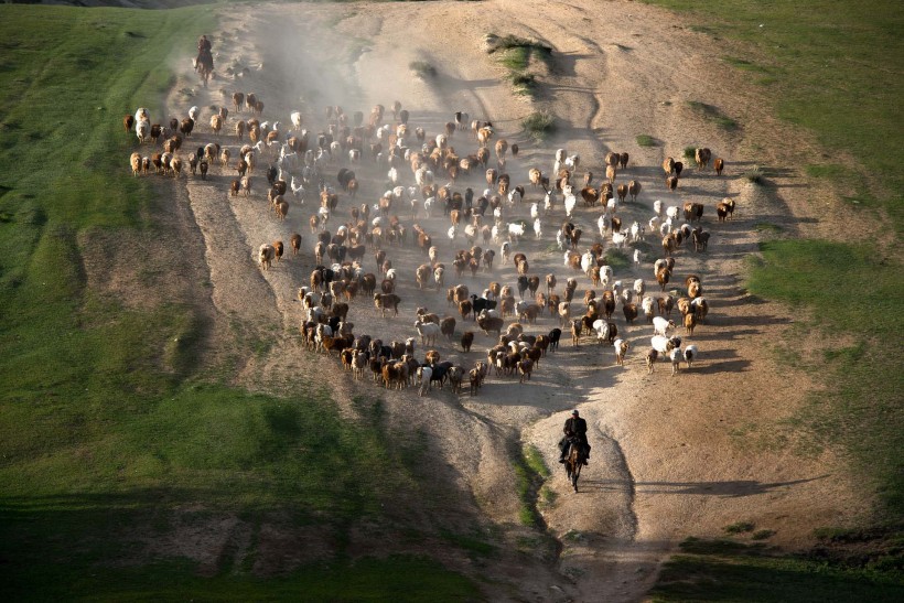 新疆阿勒泰哈萨克牧民夏季大迁徙图片(23张)