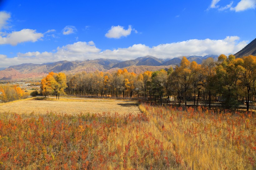 青海黑河大峡谷的秋日风景图片(8张)