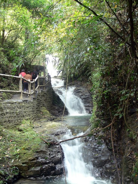 重庆黑山谷风景图片(13张)