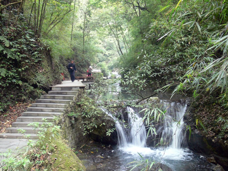 重庆黑山谷风景图片(13张)