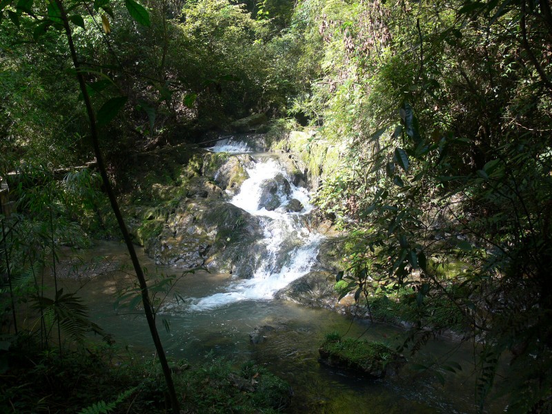 重庆黑山谷风景图片(13张)