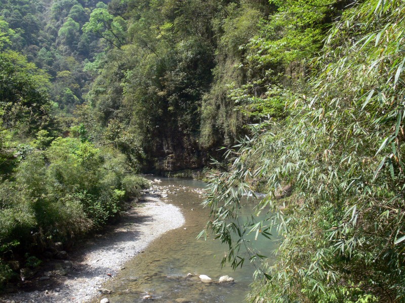 重庆黑山谷风景图片(13张)