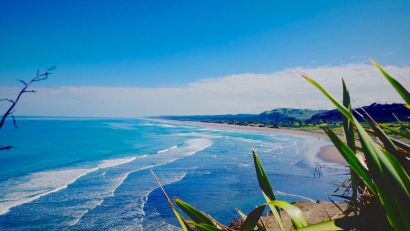 新西兰奥克兰鸟岛黑沙滩风景图片(8张)