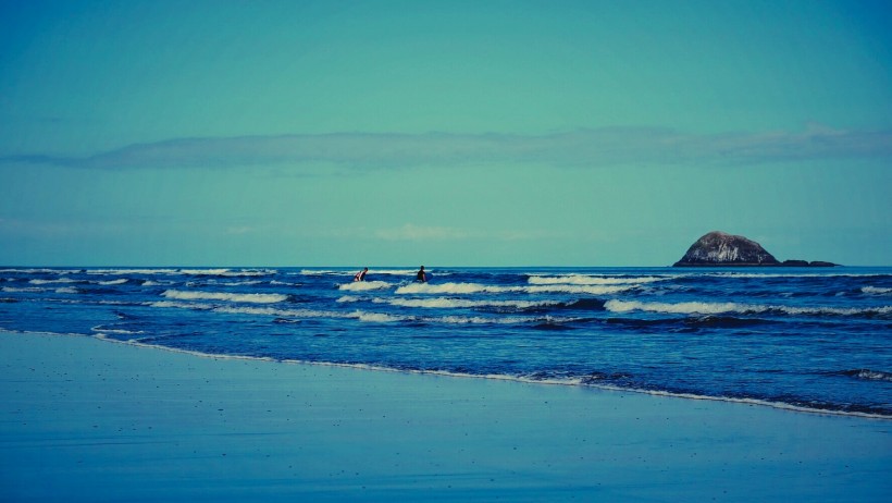 新西兰奥克兰鸟岛黑沙滩风景图片(8张)