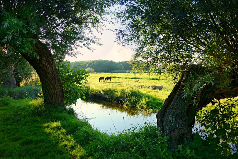 荷兰自然风景图片(10张)