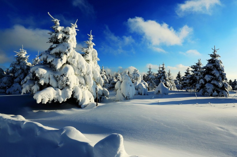 吉林延吉和龙老岭雪景图片(14张)