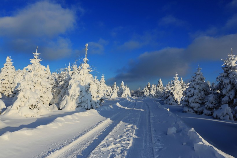 吉林延吉和龙老岭雪景图片(14张)