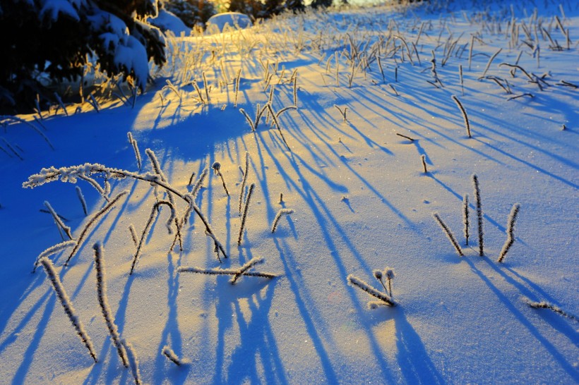 吉林延吉和龙老岭雪景图片(14张)