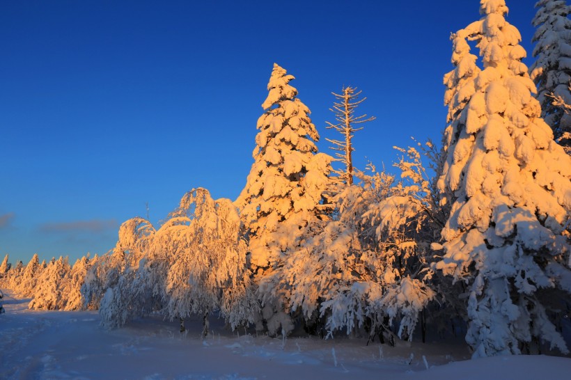 吉林延吉和龙老岭雪景图片(14张)