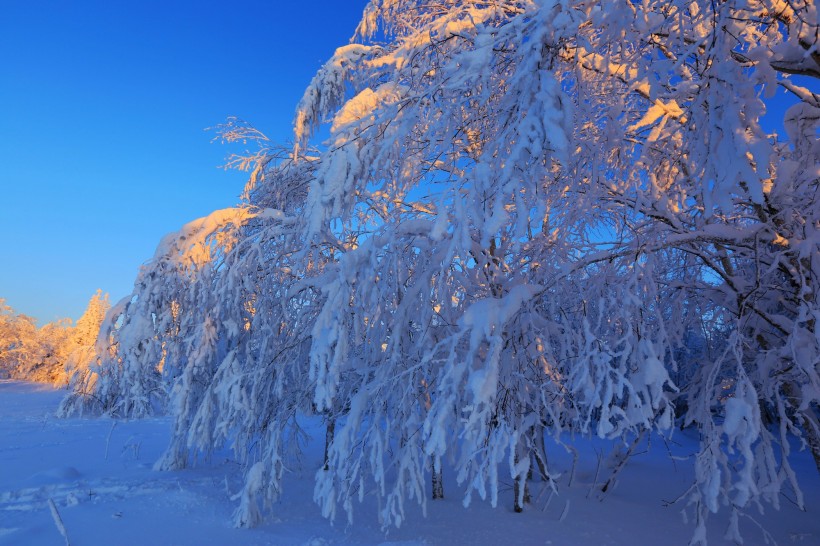 吉林延吉和龙老岭雪景图片(14张)