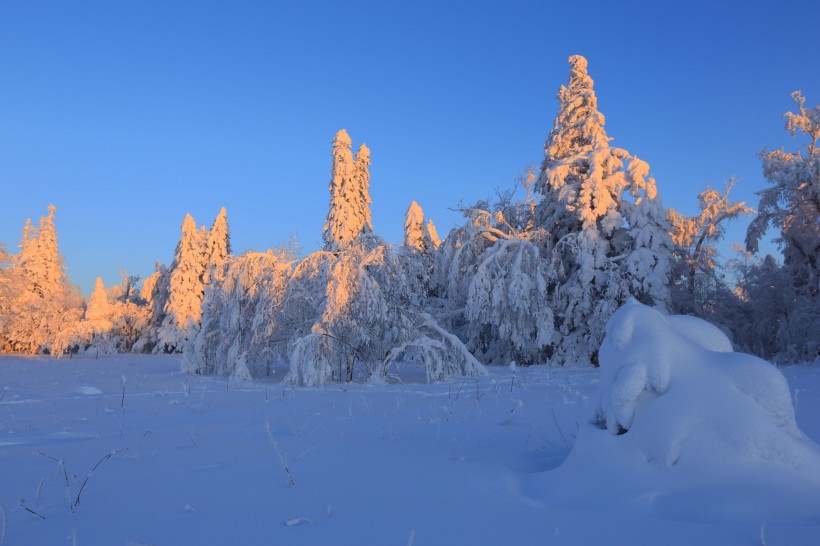 吉林延吉和龙老岭雪景图片(14张)