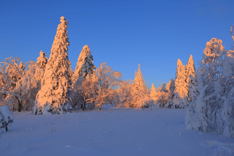 吉林延吉和龙老岭雪景图片(14张)