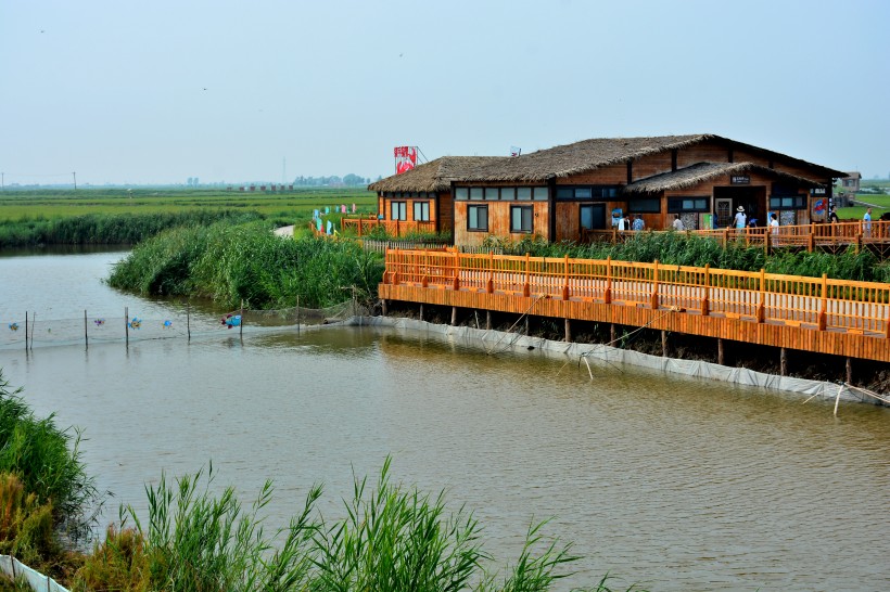 辽宁盘锦红海滩风景图片(9张)