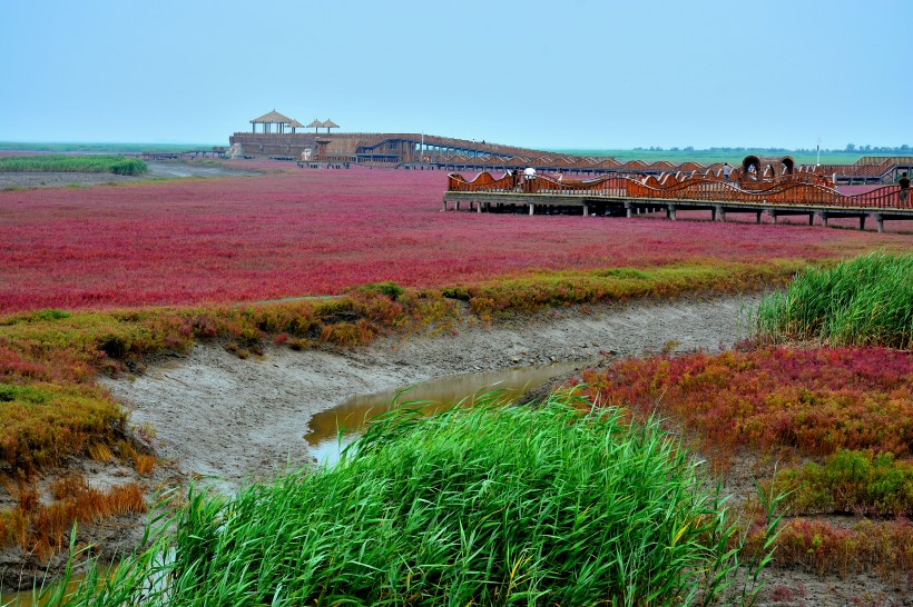 辽宁盘锦红海滩风景图片(8张)