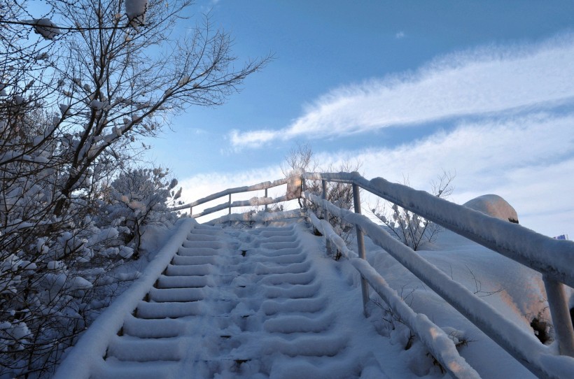 新疆红山雪景图片(16张)