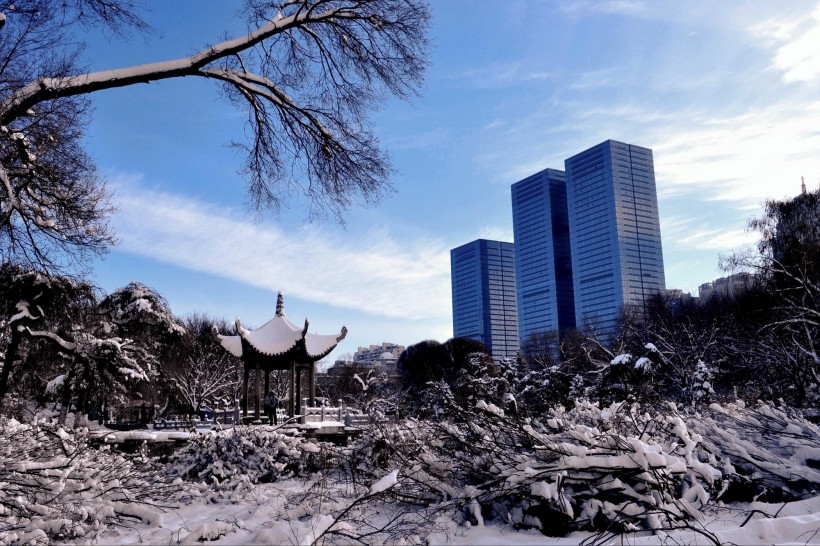 新疆红山雪景图片(16张)