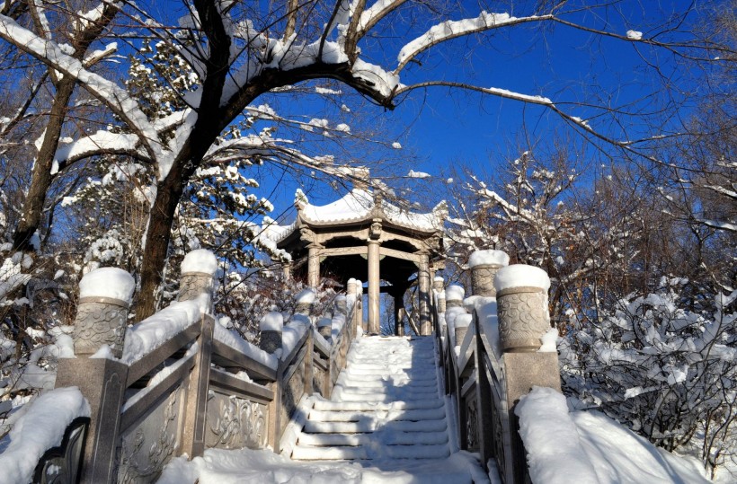 新疆红山雪景图片(16张)