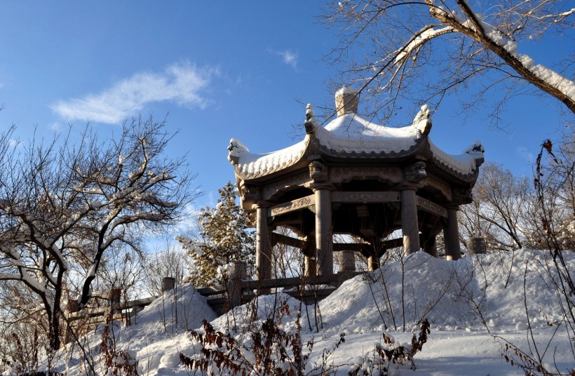 新疆红山雪景图片(16张)