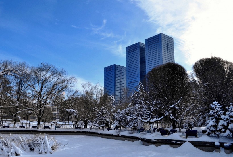 新疆红山雪景图片(16张)