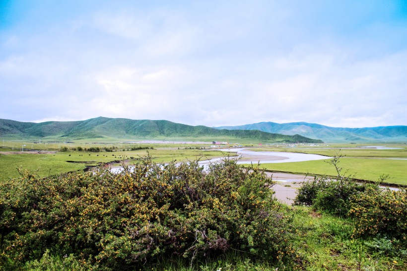 临夏红园风景图片(14张)