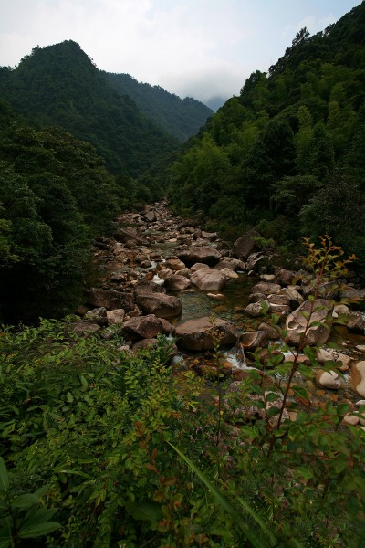 福建大安源黄冈山大峡谷风景图片(20张)
