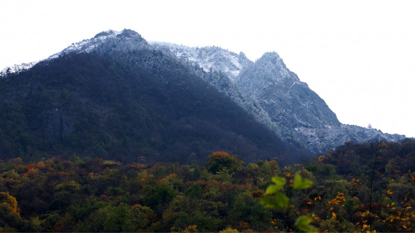 甘肃黄林沟风景图片(18张)