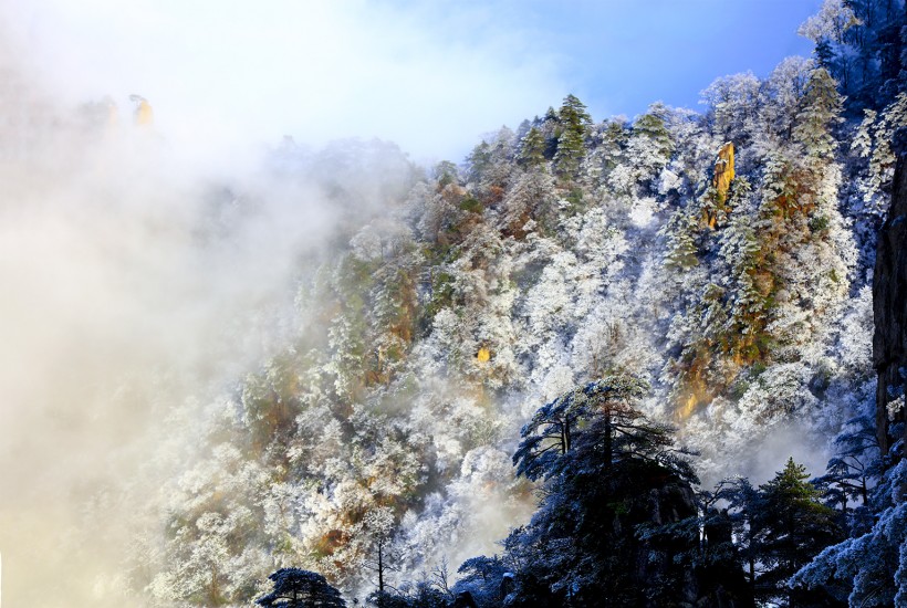 安徽黄山雪景树挂图片(12张)