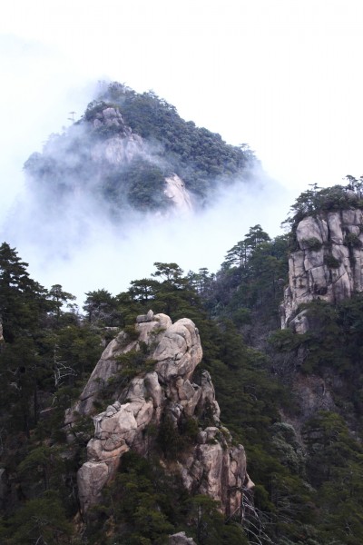 安徽黄山奇松风景图片(16张)