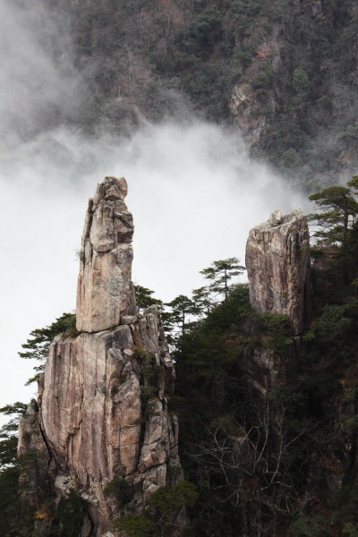 安徽黄山奇松风景图片(16张)