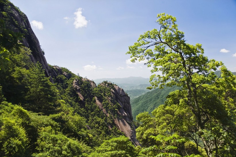 黄山奇松图片(41张)