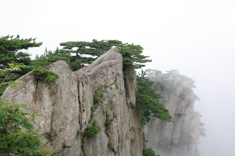 黄山奇松图片(41张)