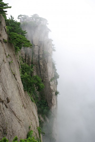 黄山奇松图片(41张)