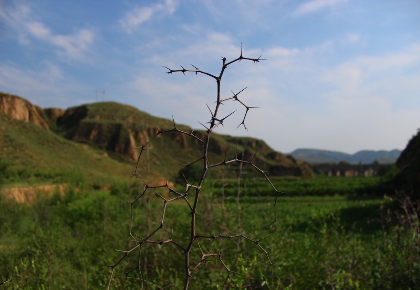 山西黄土高坡风景图片(9张)