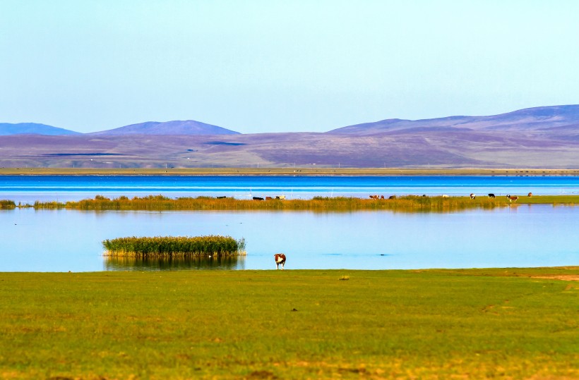 内蒙古呼伦贝尔草原风景图片(9张)