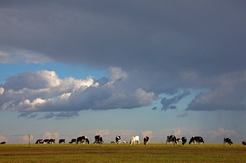 内蒙古呼伦贝尔草原风景图片(10张)