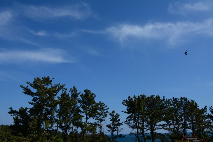 韩国济州岛风景图片(16张)