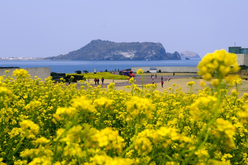 韩国济州岛公路风景图片(28张)