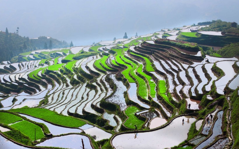 贵州加榜梯田风景图片(20张)