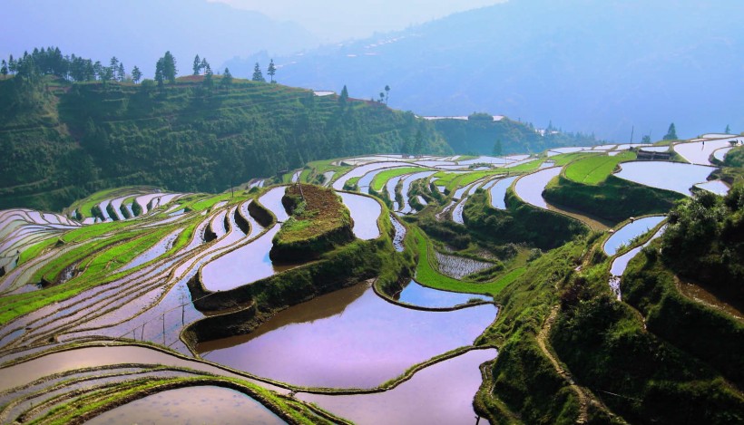 贵州加榜梯田风景图片(20张)