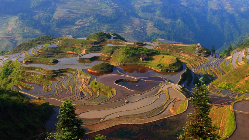 贵州加榜梯田风景图片(20张)